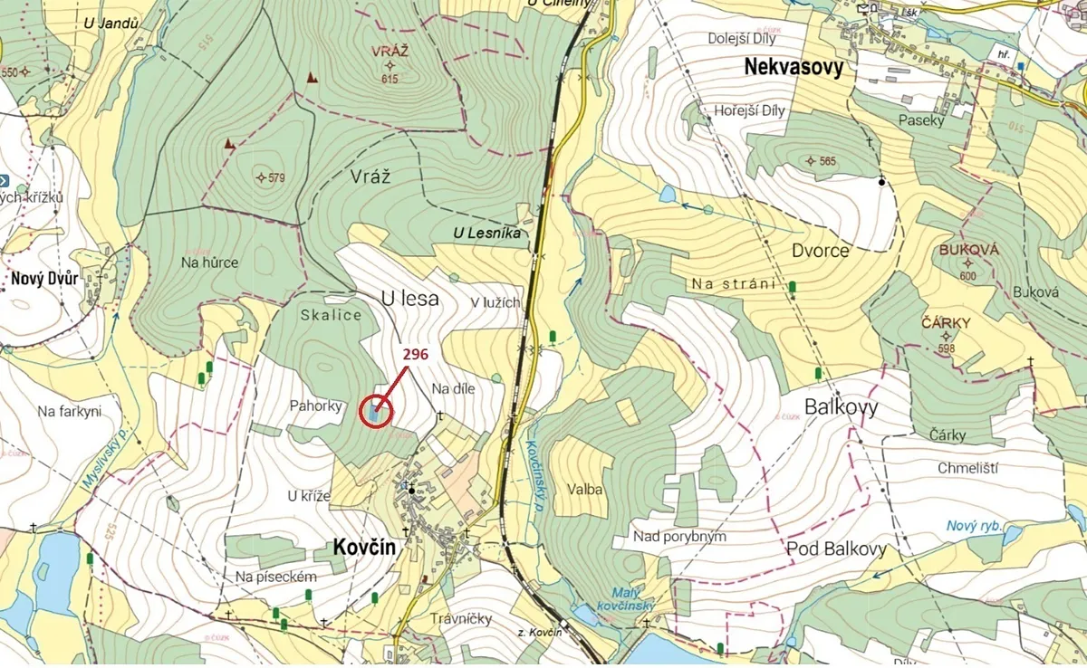 Dražba lesa 1626 m²